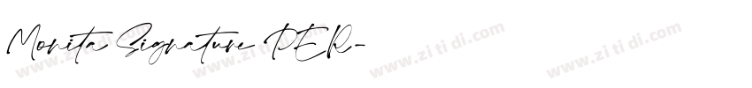Monita Signature PER字体转换